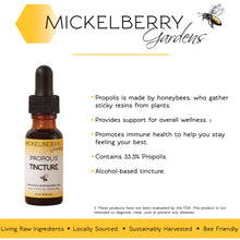 Load image into Gallery viewer, Propolis Tincture 0.5 oz.
