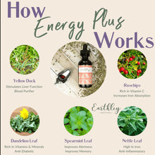 Load image into Gallery viewer, EARTHLEY: Energy Plus