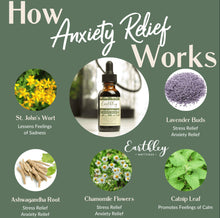 Load image into Gallery viewer, EARTHLEY: Anxiety Relief