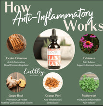 Load image into Gallery viewer, EARTHLEY: Anti-Inflammatory