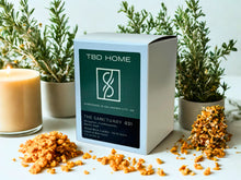 Load image into Gallery viewer, 031 - THE SANCTUARY