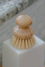 Load image into Gallery viewer, CASA AGAVE® Dish Washing Brush - No Tox Life
