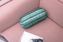 Load image into Gallery viewer, Cactus Pillow Head Rest

