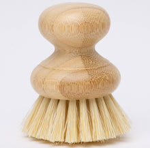 Load image into Gallery viewer, CASA AGAVE® Dish Washing Brush - No Tox Life
