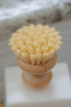Load image into Gallery viewer, CASA AGAVE® Dish Washing Brush - No Tox Life
