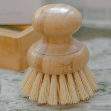 Load image into Gallery viewer, CASA AGAVE® Dish Washing Brush - No Tox Life
