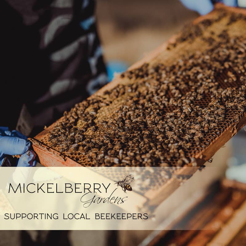 Pollen Honey Tonic — seasonal allergy support: 8oz